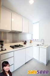 The Vermont On Cairnhill (D9), Apartment #616473641